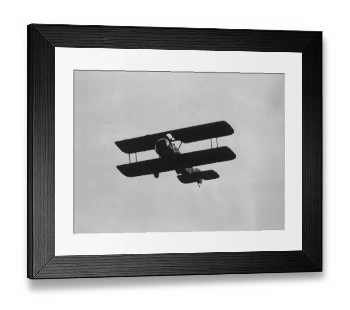 Framed Print : Sopwith Dove Framed Print : Sopwith Dove