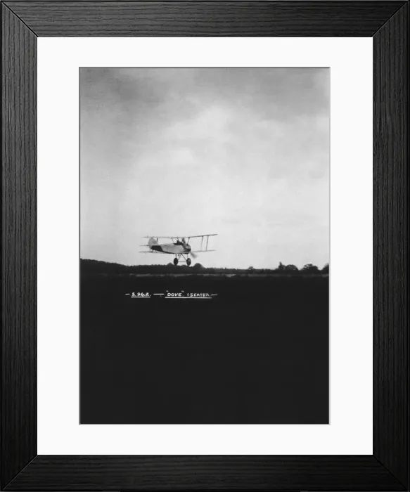 Framed Print : Sopwith Dove Framed Print : Sopwith Dove