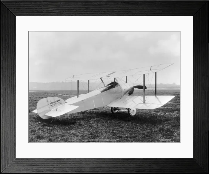 Framed Print : Sopwith Dove Framed Print : Sopwith Dove