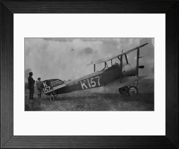 Framed Print : Sopwith Dove Framed Print : Sopwith Dove