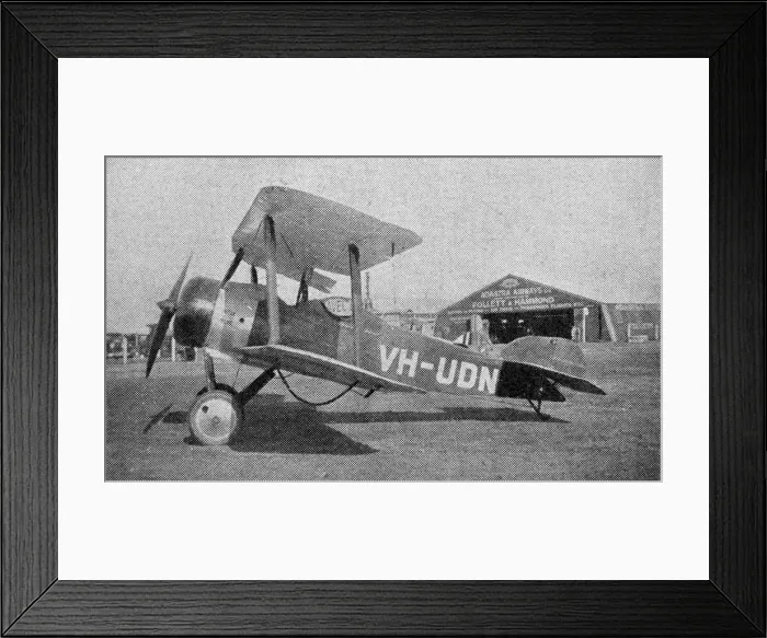 Framed Print : Sopwith Dove Framed Print : Sopwith Dove