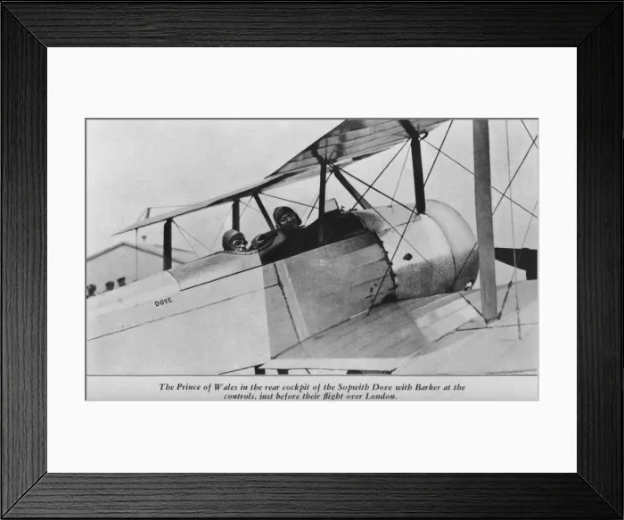 Framed Print : Sopwith Dove Framed Print : Sopwith Dove