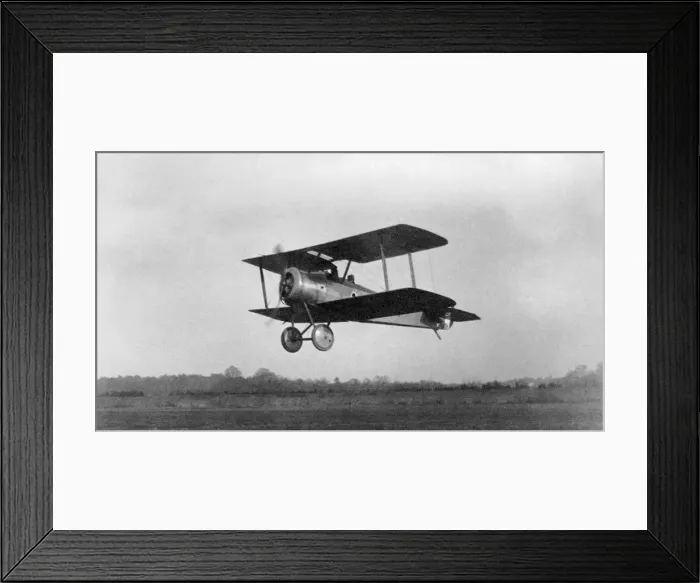 Framed Print : Sopwith Dove