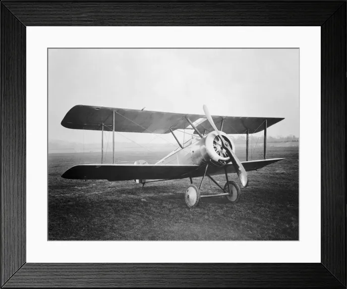 Framed Print : Sopwith Dove Framed Print : Sopwith Dove