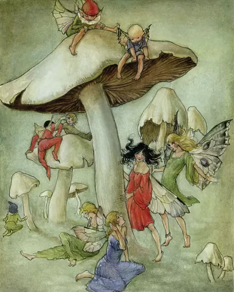 Fairies and toadstools