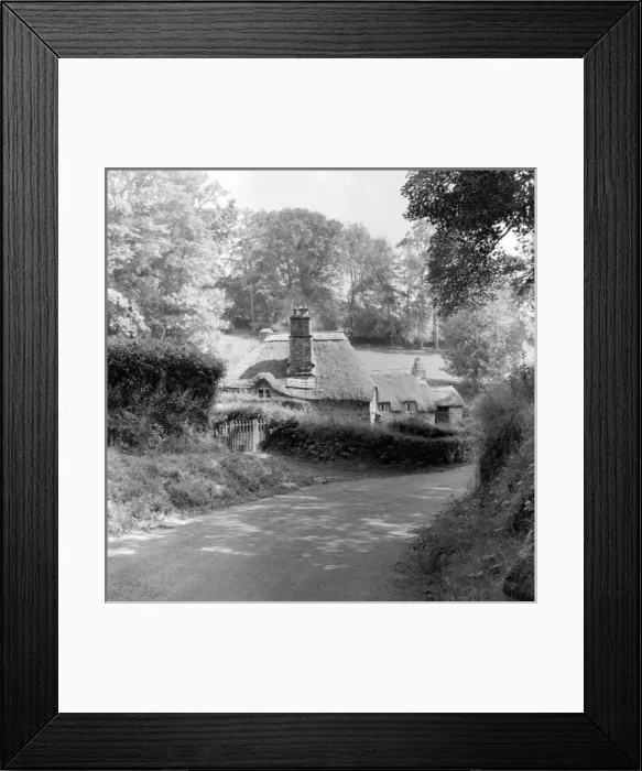 Framed Print : Thatched cottage, Devon Framed Print : Thatched cottage, Devon