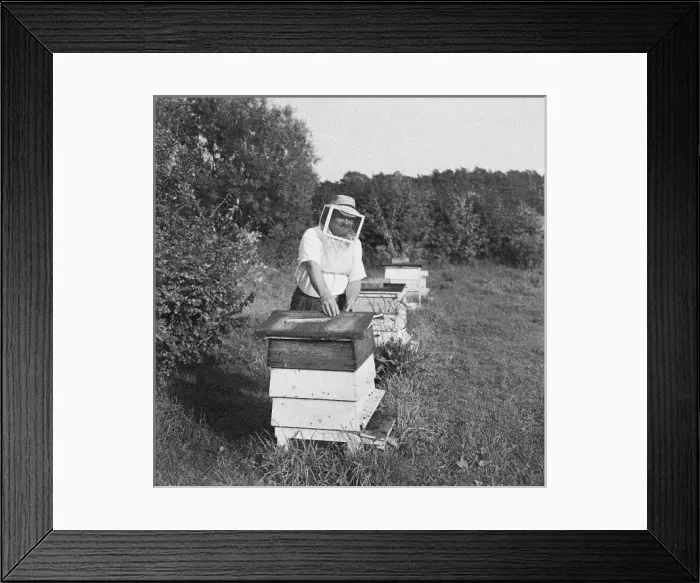 Framed Print : Beekeeper, Shropshire Framed Print : Beekeeper, Shropshire