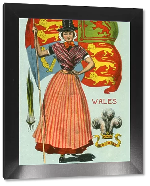 Archetype - Personification of Wales - Traditional Costume
