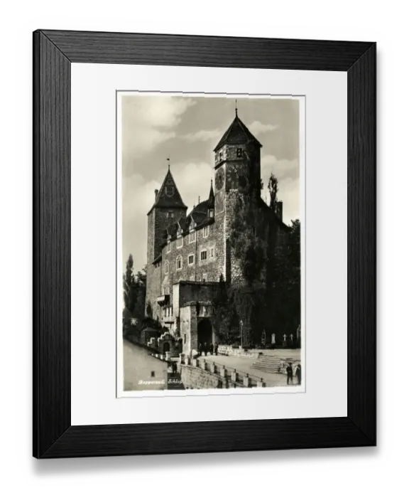 Framed Print : Switzerland - The Castle at Rapperswil Framed Print : Switzerland - The Castle at Rapperswil