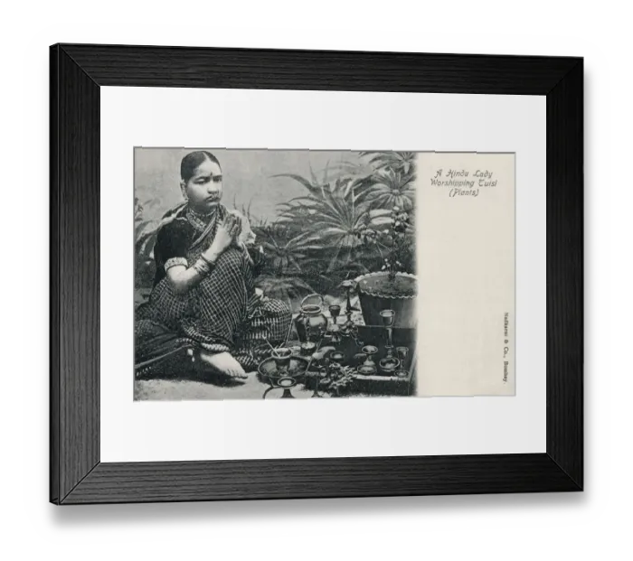 Framed Print : Hindu Lady worshipping Tulsi (Plants) Framed Print : Hindu Lady worshipping Tulsi (Plants)
