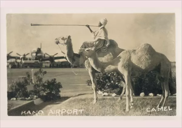 Kano Airport, Nigeria - Camel rider with horn