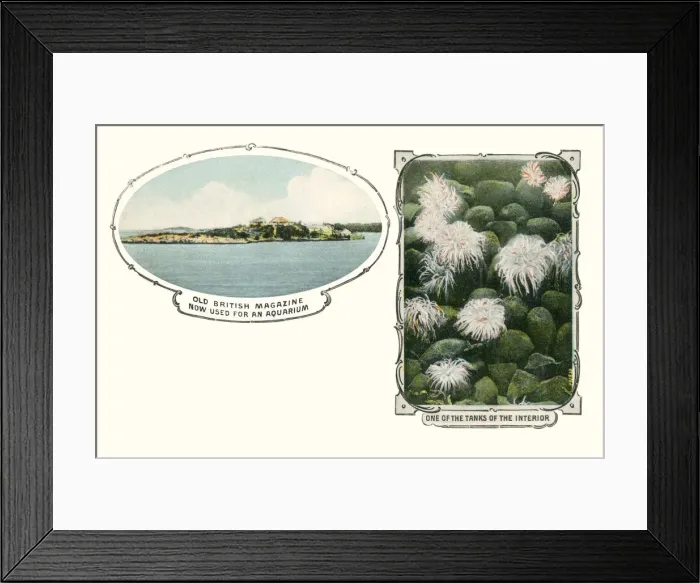 Framed Print : Bermuda - Aquarium in old British Magazine building Framed Print : Bermuda - Aquarium in old British Magazine building