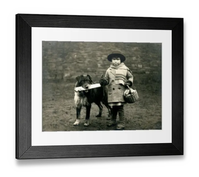 Framed Print : Social History - Dog brings home newspaper with young child Framed Print : Social History - Dog brings home newspaper with young child