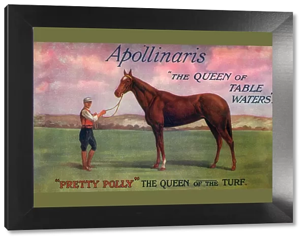 Pretty Polly - Queen of the Turf - sponsored by Apollinaris
