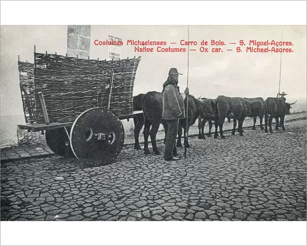 Azores, Portugal - Ox wagon with solid wheels - wicker sides