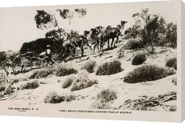 Building the Trans-Australian Railway - using a Camel Buggy