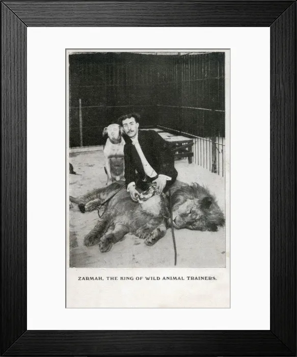 Framed Print : Zarmah - The King of Wild Animal Trainers Framed Print : Zarmah - The King of Wild Animal Trainers