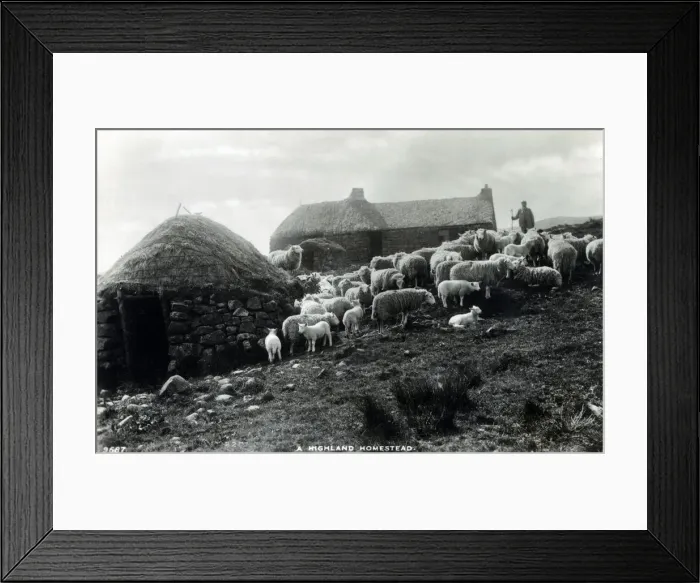 Framed Print : A Highland Homestead with Shepherd and his flock - Scotland Framed Print : A Highland Homestead with Shepherd and his flock - Scotland
