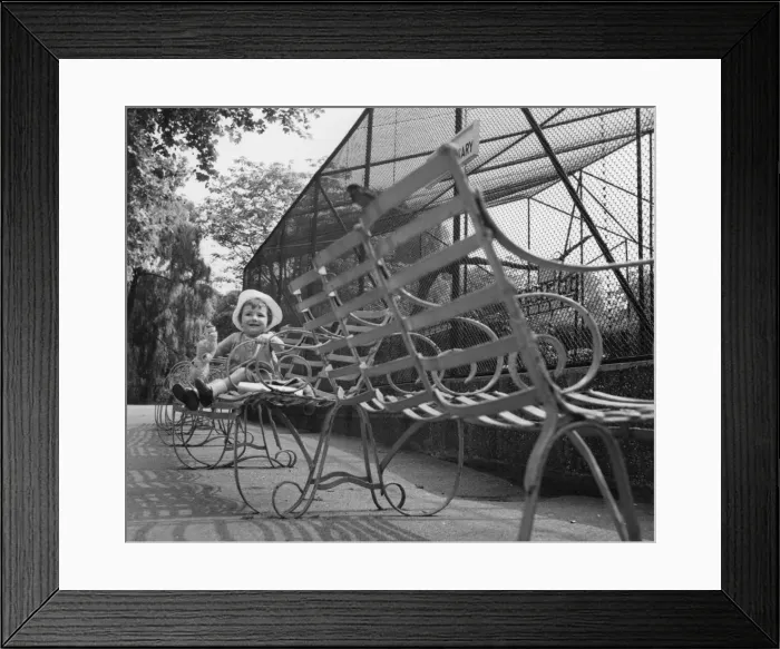 Framed Print : Little girl sitting by an aviary at a zoo Framed Print : Little girl sitting by an aviary at a zoo