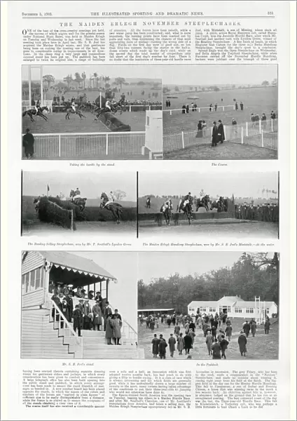 Maiden Erlegh Race Course