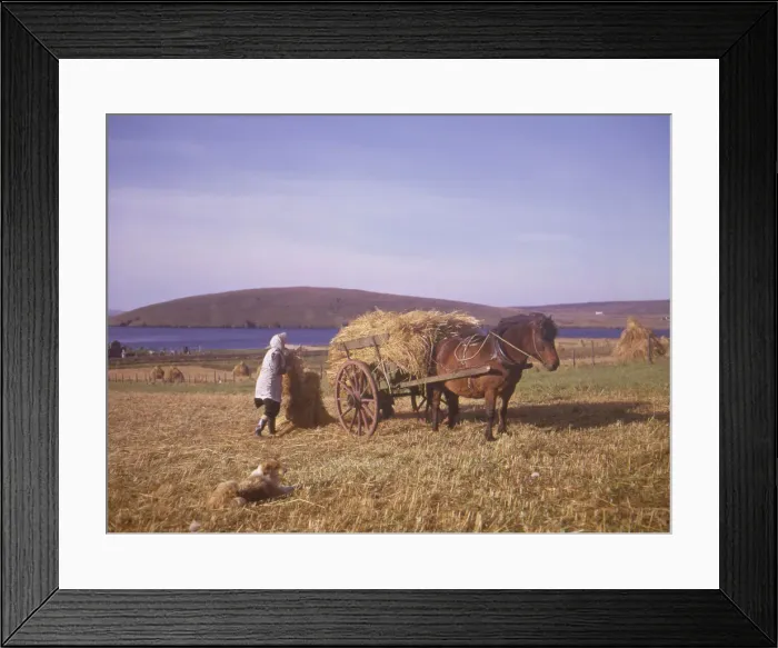 Framed Print : (insert)