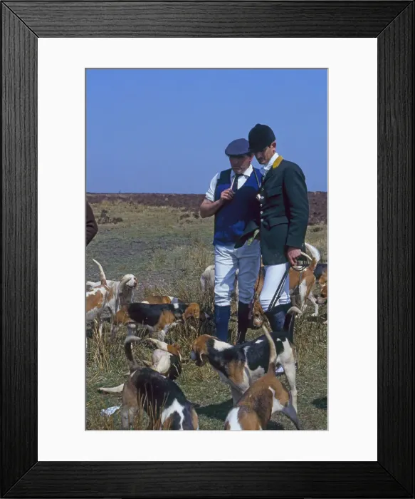 Framed Print : (insert) Framed Print : (insert)