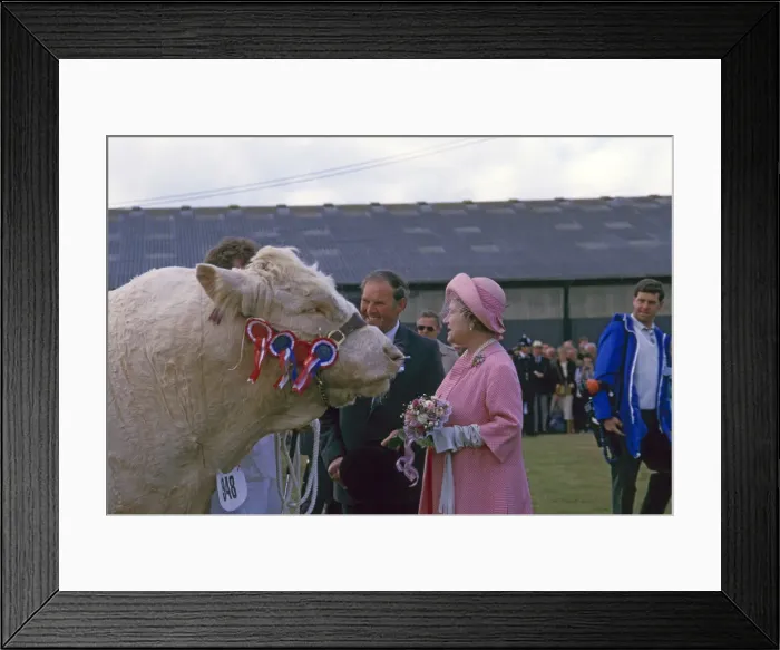 Framed Print : (insert) Framed Print : (insert)