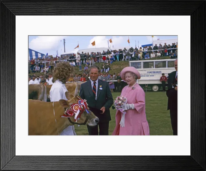 Framed Print : (insert) Framed Print : (insert)