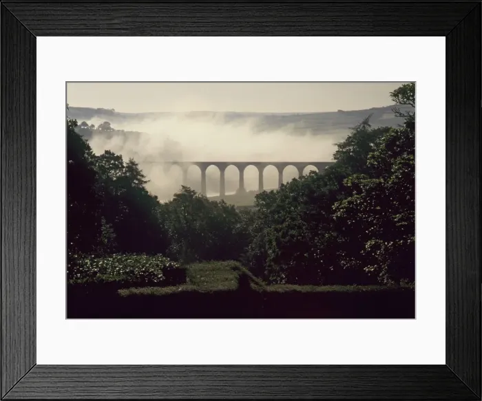 Framed Print : (insert) Framed Print : (insert)