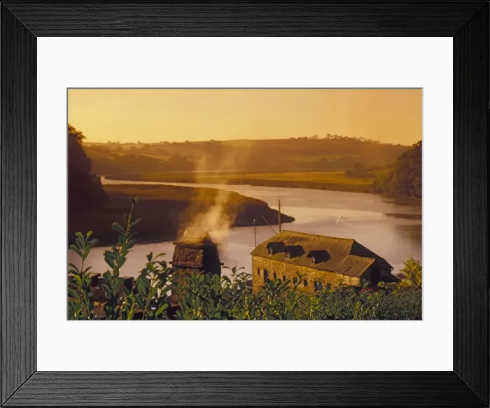 Framed Print : (insert)