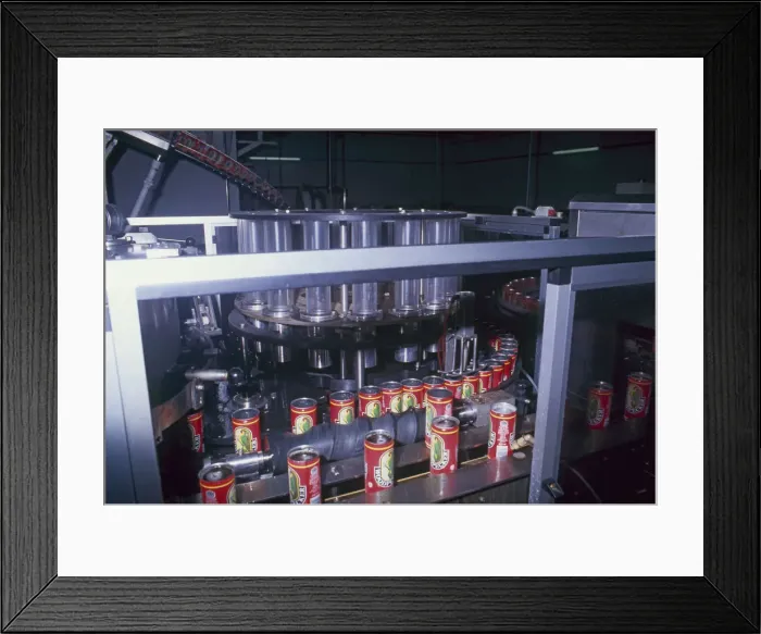 Framed Print : (insert) Framed Print : (insert)