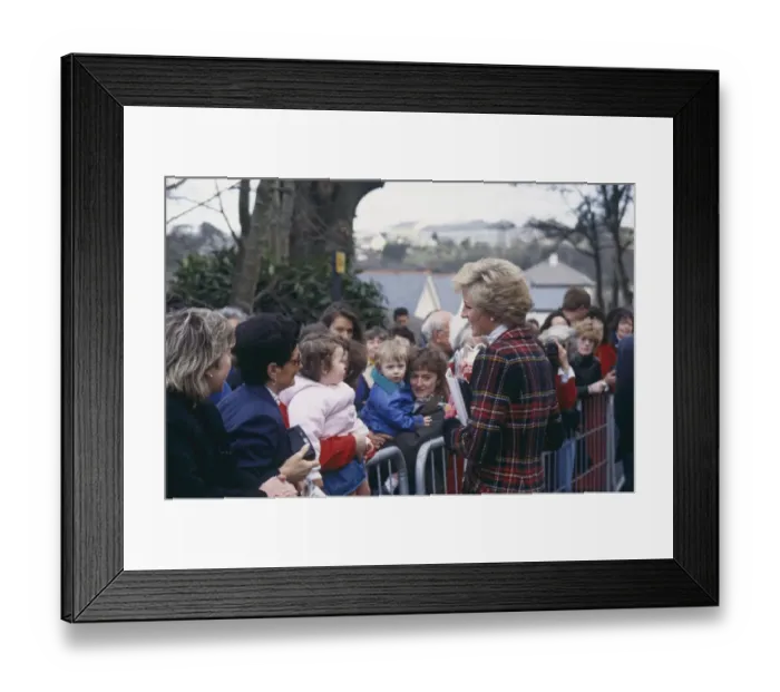 Framed Print : (insert)