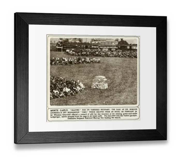 Framed Print : Cage of Sir Winston Churchills pet budgerigar Toby Framed Print : Cage of Sir Winston Churchills pet budgerigar Toby