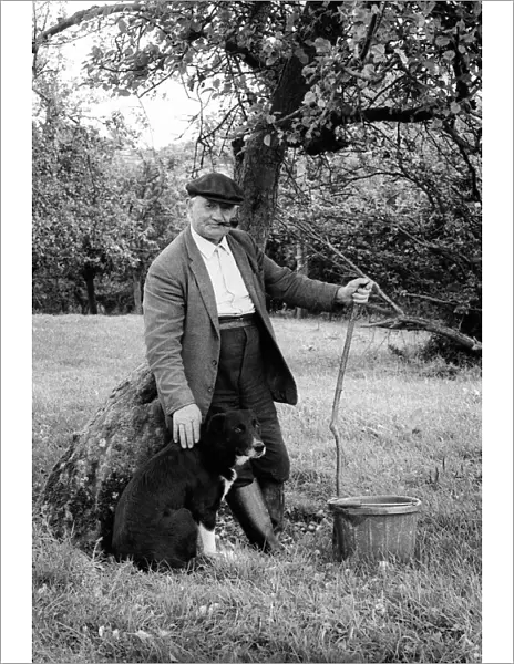 Old farmer with dog in orchard