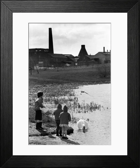 Framed Print : Children and swans Stoke Framed Print : Children and swans Stoke