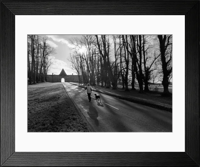 Framed Print : Winter light, Castle Howard, Yorks Framed Print : Winter light, Castle Howard, Yorks