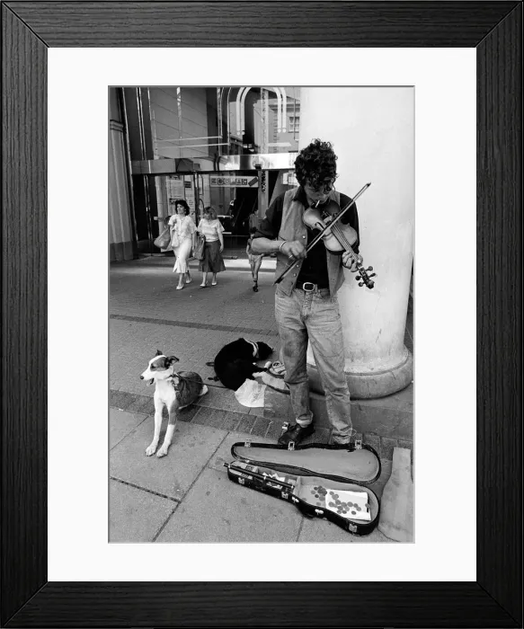 Framed Print : Busker with dogs, Cheltenham - 1 Framed Print : Busker with dogs, Cheltenham - 1