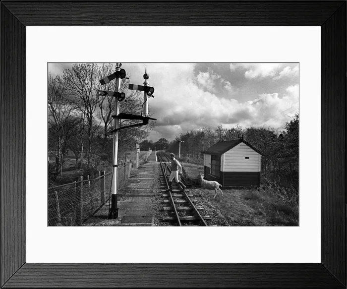 Framed Print : Goat on Bala Lake Railway line, N Wales Framed Print : Goat on Bala Lake Railway line, N Wales