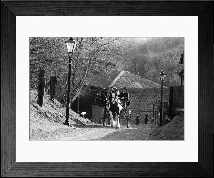 Framed Print : Pony and trap, Blists Hill, Shropshire Framed Print : Pony and trap, Blists Hill, Shropshire