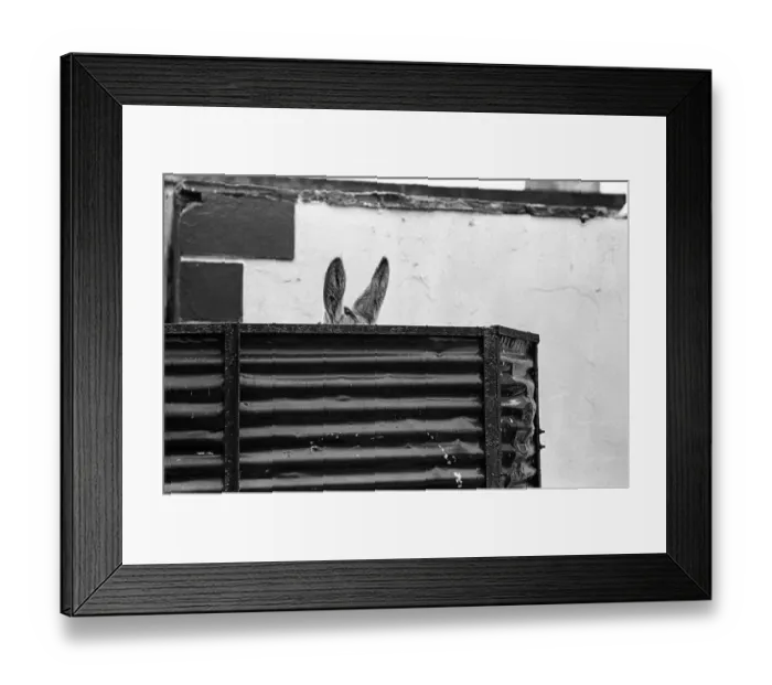 Framed Print : Doney ears, Ireland Framed Print : Doney ears, Ireland