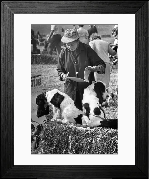 Framed Print : Dog Show, Hereford Framed Print : Dog Show, Hereford