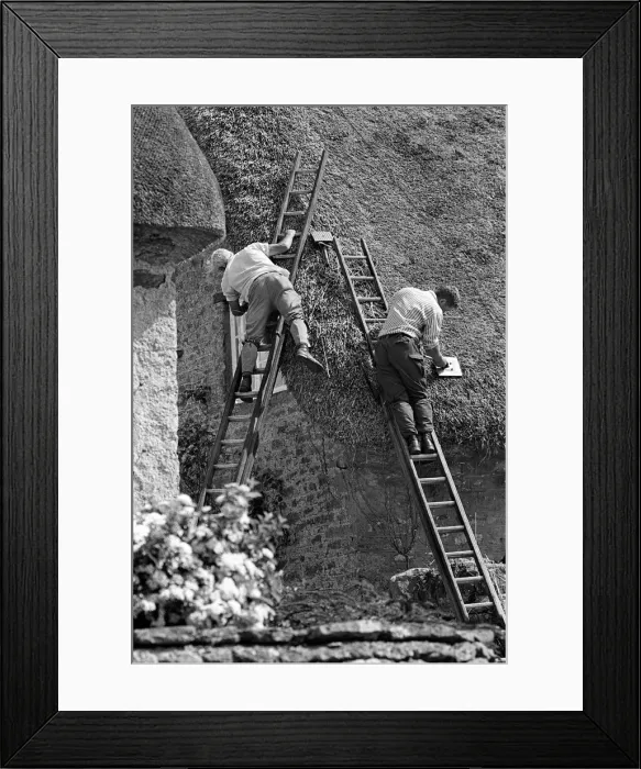 Framed Print : Thatching, East Coker, Somerset Framed Print : Thatching, East Coker, Somerset