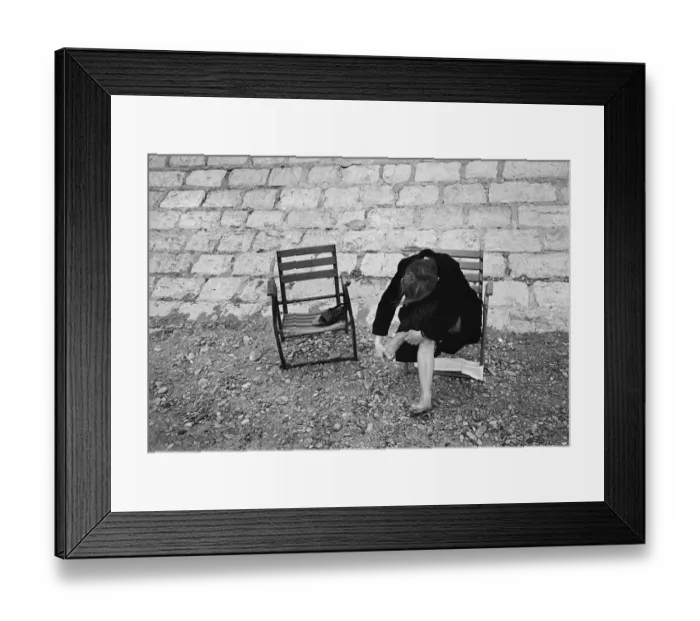 Framed Print : Sandy toes, Normandy - 1 Framed Print : Sandy toes, Normandy - 1