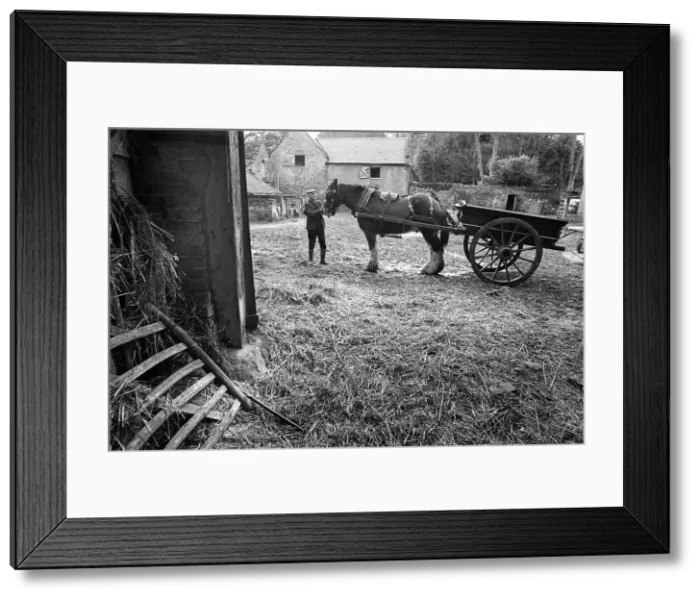 Framed Print : Wagoner, Shropshire - 3 Framed Print : Wagoner, Shropshire - 3