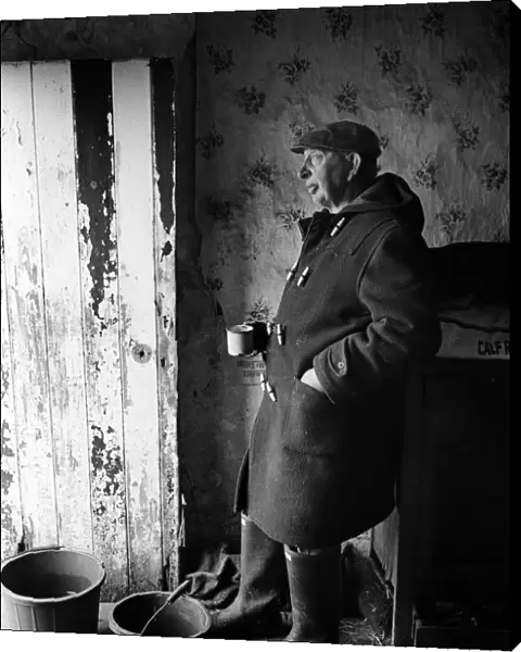 Staffordshire farmer with cup of tea