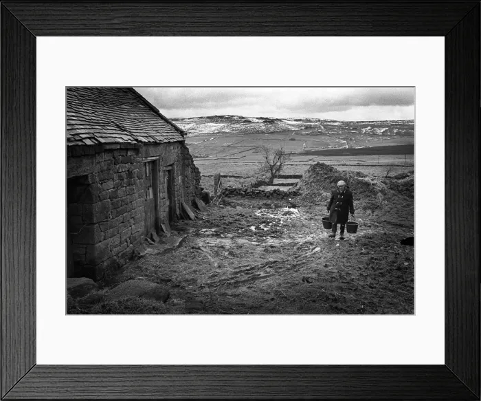 Framed Print : Staffordshire farmer in farmyard Framed Print : Staffordshire farmer in farmyard