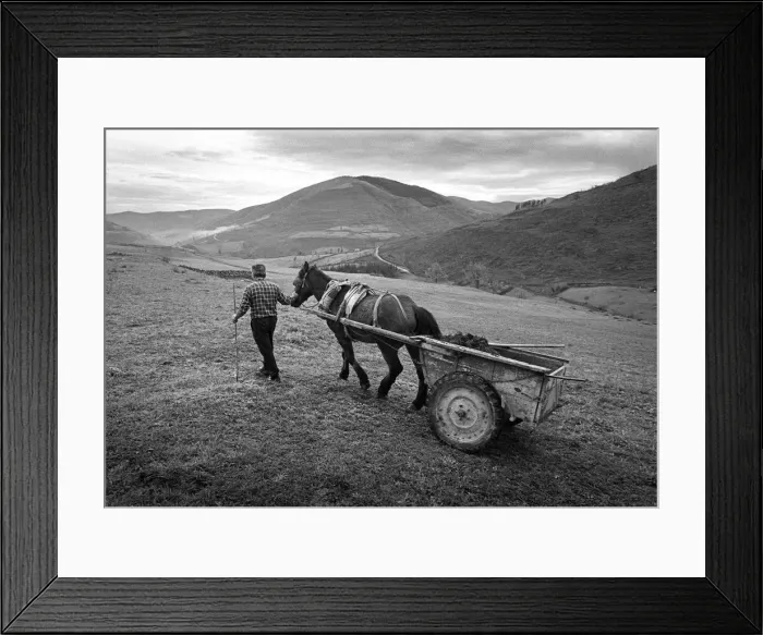 Framed Print : Muck cart, Cantabria, Spain - 1 Framed Print : Muck cart, Cantabria, Spain - 1