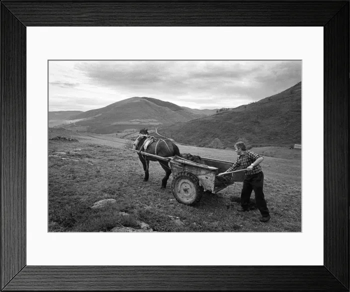 Framed Print : Muck cart, Cantabria, Spain - 2 Framed Print : Muck cart, Cantabria, Spain - 2