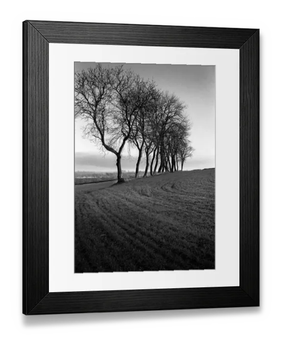 Framed Print : Slad, Gloucstershire - field Framed Print : Slad, Gloucstershire - field