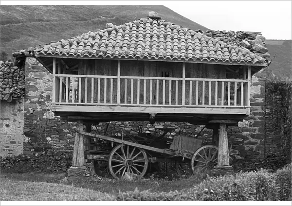 Galician granary - 01